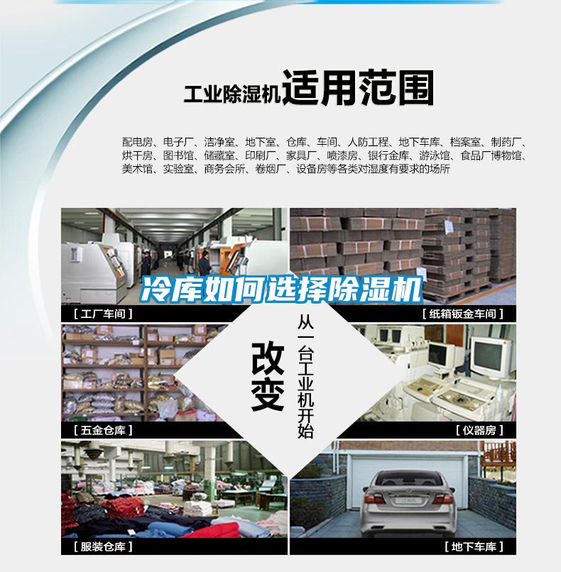 冷库如何选择香蕉福利视频机