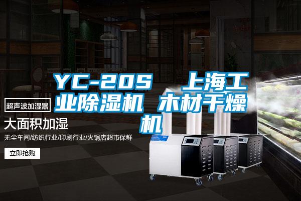 YC-20S  上海工业香蕉福利视频机 木材干燥机