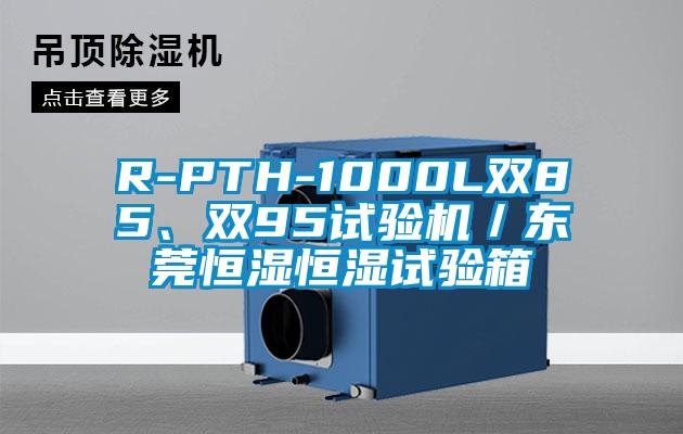 R-PTH-1000L双85、双95试验机／东莞恒湿恒湿试验箱