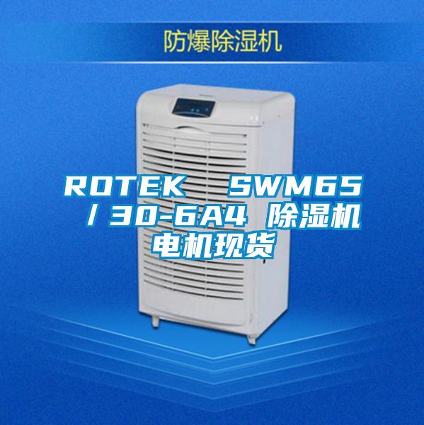ROTEK  SWM65／30-6A4 香蕉福利视频机电机现货