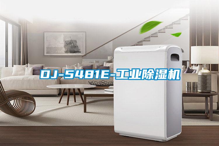 DJ-5481E-工业香蕉福利视频机
