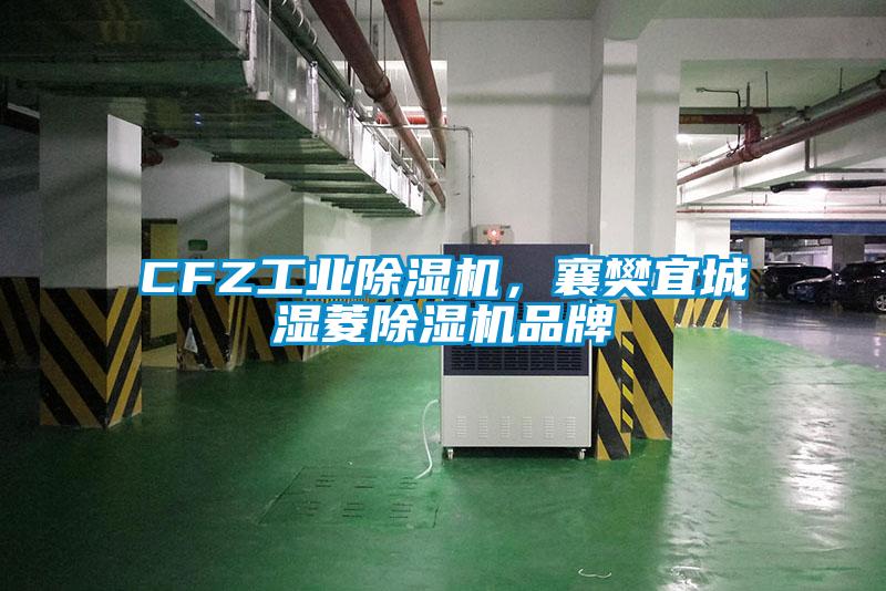 CFZ工业香蕉福利视频机，襄樊宜城湿菱香蕉福利视频机品牌