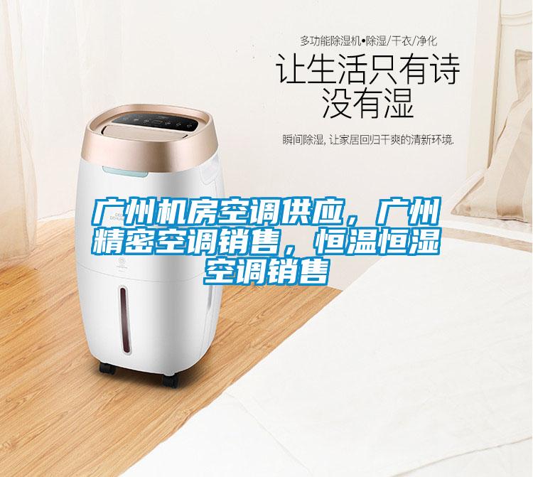 广州机房空调供应，广州精密空调销售，恒温恒湿空调销售