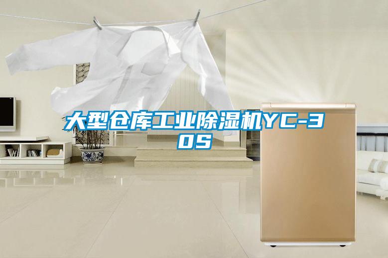 大型仓库工业香蕉福利视频机YC-30S
