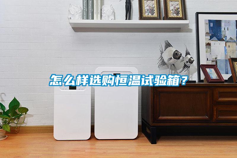 怎么样选购恒温试验箱？
