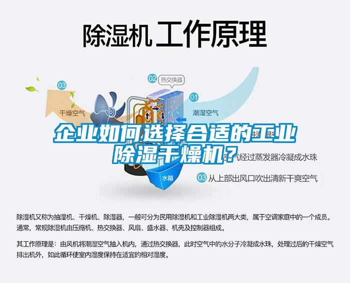 企业如何选择合适的工业香蕉福利视频干燥机？