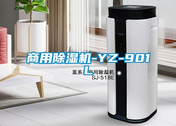 商用香蕉福利视频机-YZ-901L
