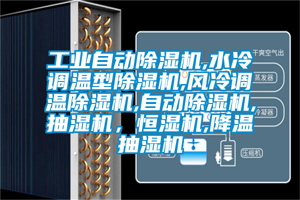 工业自动香蕉福利视频机,水冷调温型香蕉福利视频机,风冷调温香蕉福利视频机,自动香蕉福利视频机,抽湿机，恒湿机,降温抽湿机
