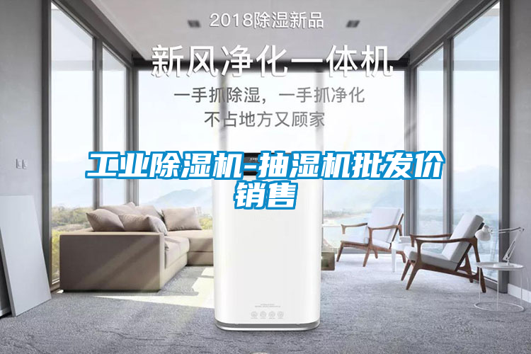 工业香蕉福利视频机-抽湿机批发价销售