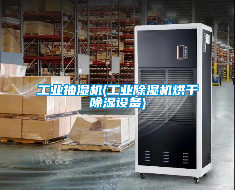工业抽湿机(工业香蕉福利视频机烘干香蕉福利视频设备)