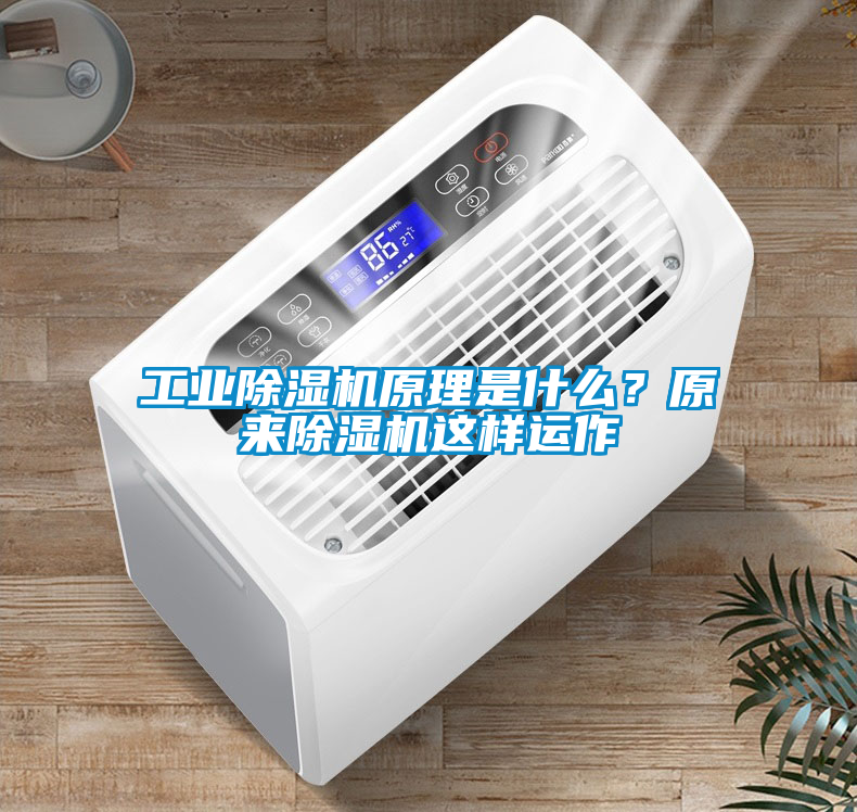 工业香蕉福利视频机原理是什么？原来香蕉福利视频机这样运作