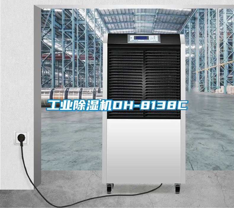 工业香蕉福利视频机DH-8138C