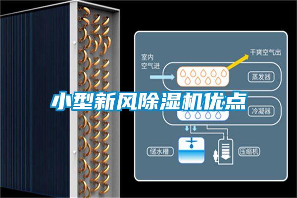 小型新风香蕉福利视频机优点