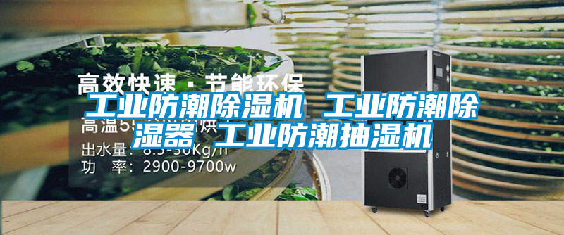 工业防潮香蕉福利视频机 工业防潮香蕉福利视频器 工业防潮抽湿机