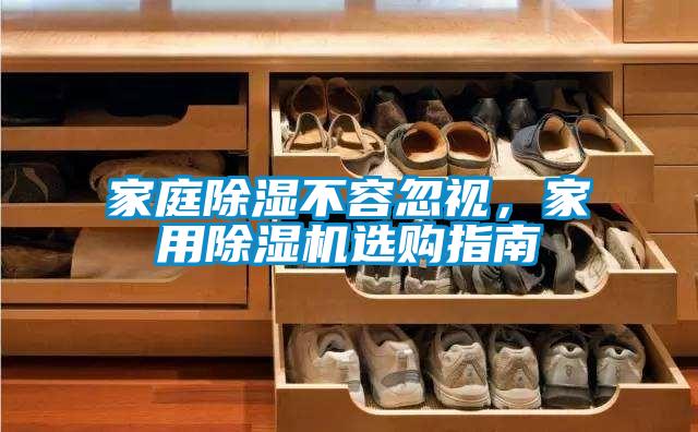 家庭香蕉福利视频不容忽视，家用香蕉福利视频机选购指南