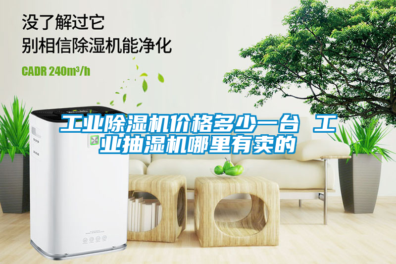 工业香蕉福利视频机价格多少一台 工业抽湿机哪里有卖的