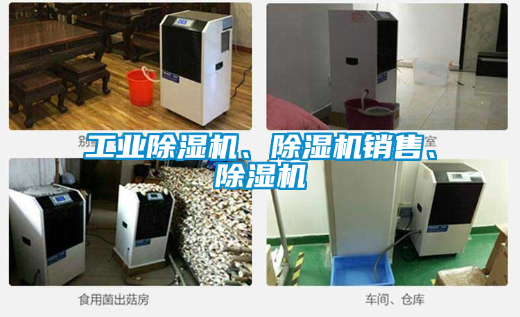 工业香蕉福利视频机、香蕉福利视频机销售、香蕉福利视频机