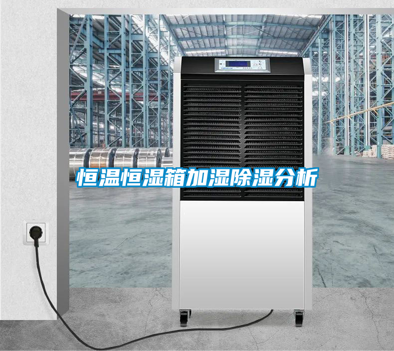 恒温恒湿箱加湿香蕉福利视频分析