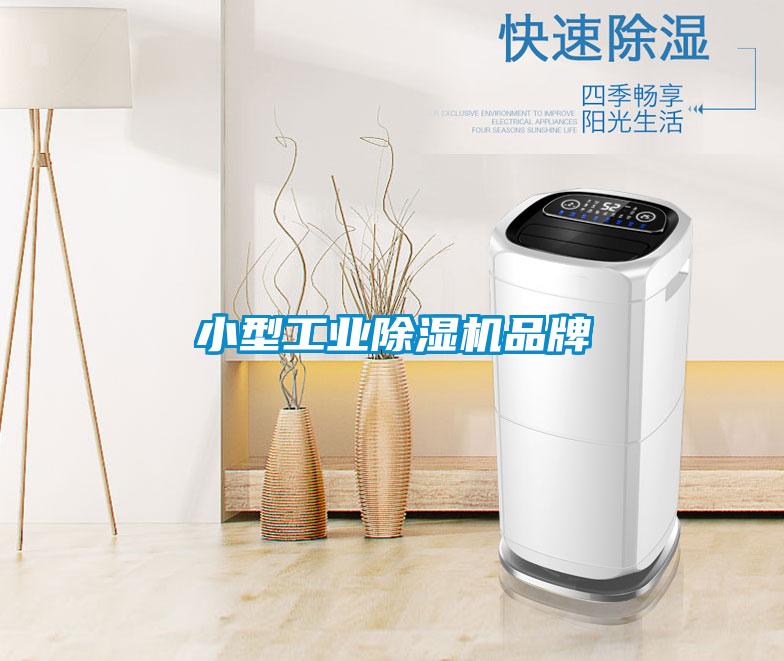 小型工业香蕉福利视频机品牌