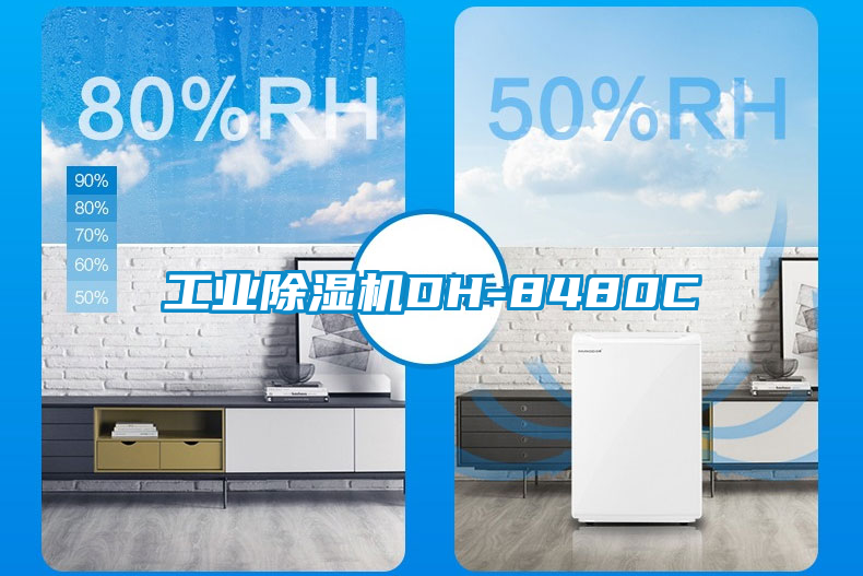 工业香蕉福利视频机DH-8480C