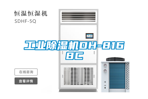 工业香蕉福利视频机DH-8168C