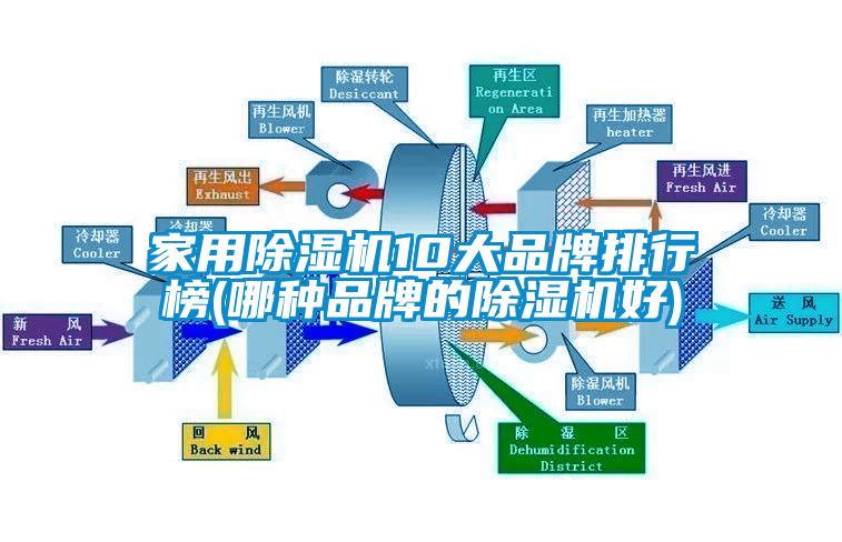家用香蕉福利视频机10大品牌排行榜(哪种品牌的香蕉福利视频机好)