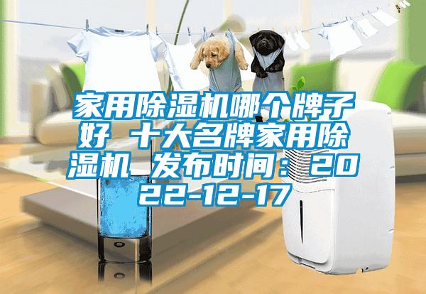 家用香蕉福利视频机哪个牌子好 十大名牌家用香蕉福利视频机 发布时间：2022-12-17