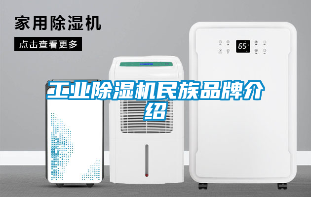 工业香蕉福利视频机民族品牌介绍