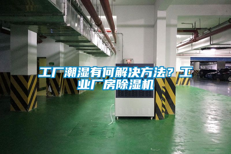 工厂潮湿有何解决方法？工业厂房香蕉福利视频机