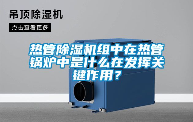 热管香蕉福利视频机组中在热管锅炉中是什么在发挥关键作用？
