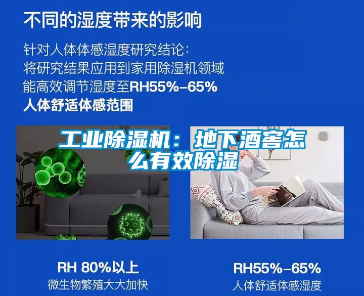 工业香蕉福利视频机：地下酒窖怎么有效香蕉福利视频