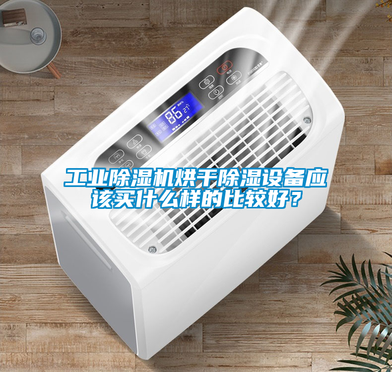 工业香蕉福利视频机烘干香蕉福利视频设备应该买什么样的比较好？
