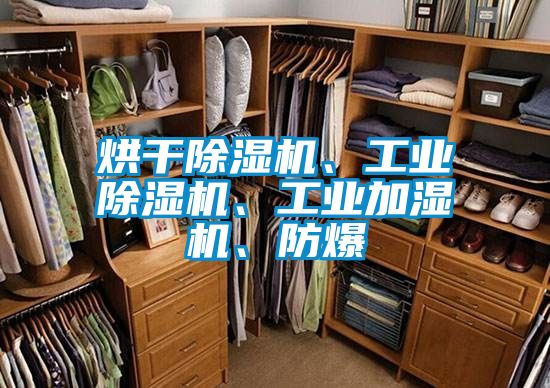 烘干香蕉福利视频机、工业香蕉福利视频机、工业加湿机、防爆