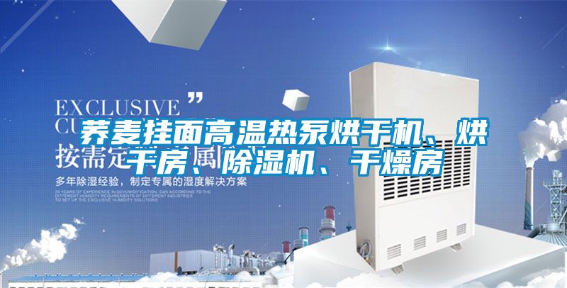荞麦挂面高温热泵烘干机、烘干房、香蕉福利视频机、干燥房