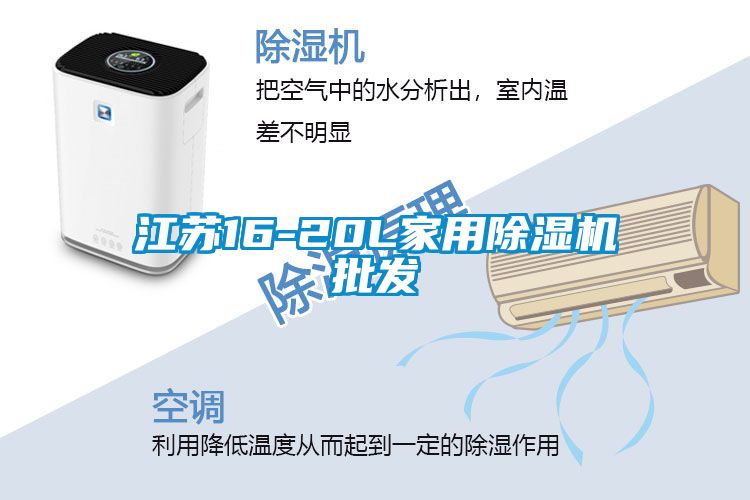 江苏16-20L家用香蕉福利视频机批发