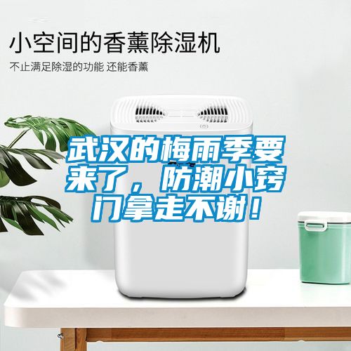 武汉的梅雨季要来了，防潮小窍门拿走不谢！