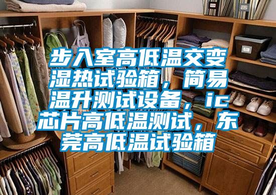 步入室高低温交变湿热试验箱，简易温升测试设备，ic芯片高低温测试，东莞高低温试验箱