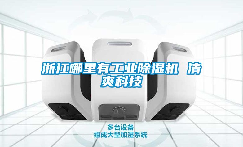 浙江哪里有工业香蕉福利视频机 清爽科技