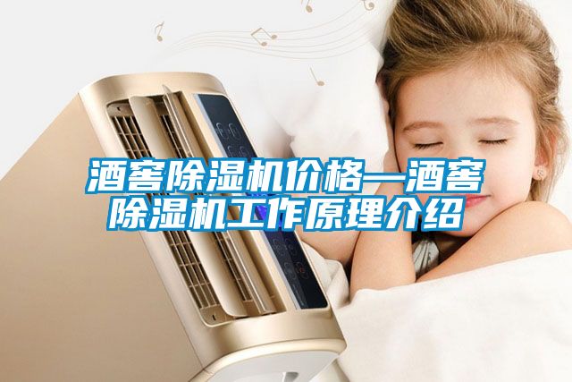 酒窖香蕉福利视频机价格—酒窖香蕉福利视频机工作原理介绍