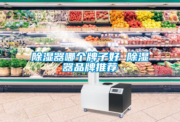 香蕉福利视频器哪个牌子好 香蕉福利视频器品牌推荐