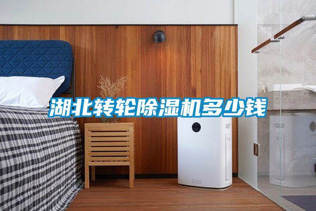 湖北转轮香蕉福利视频机多少钱
