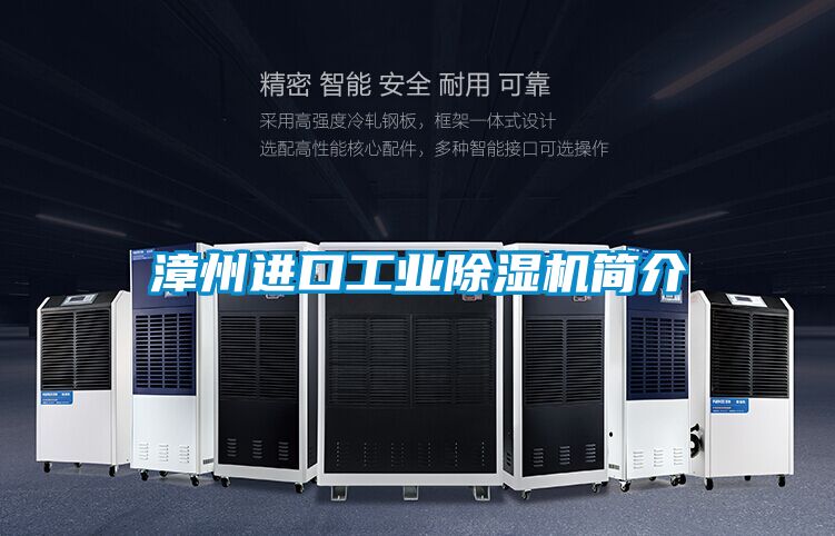漳州进口工业香蕉福利视频机简介