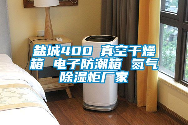 盐城400℃真空干燥箱 电子防潮箱 氮气香蕉福利视频柜厂家