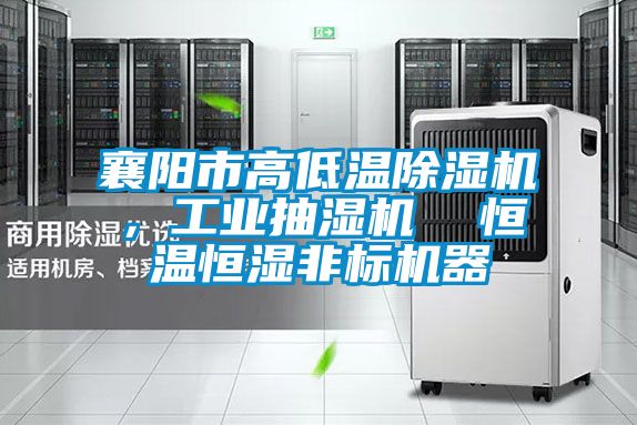 襄阳市高低温香蕉福利视频机，工业抽湿机  恒温恒湿非标机器