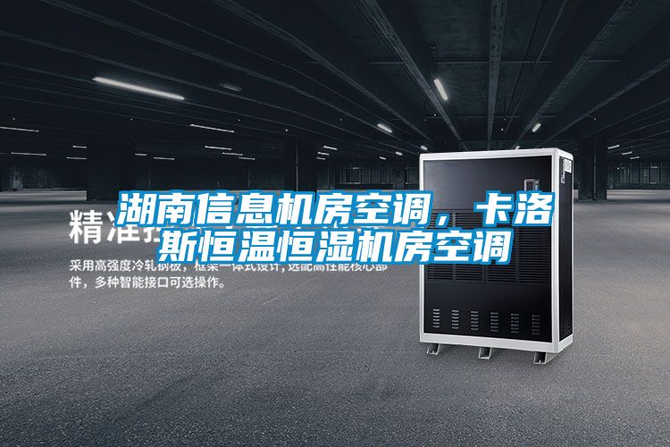 湖南信息机房空调，卡洛斯恒温恒湿机房空调