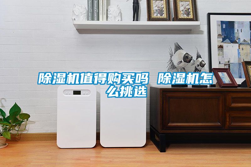 香蕉福利视频机值得购买吗 香蕉福利视频机怎么挑选