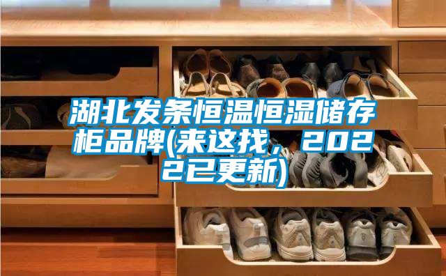 湖北发条恒温恒湿储存柜品牌(来这找，2022已更新)