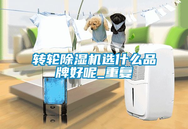 转轮香蕉福利视频机选什么品牌好呢_重复