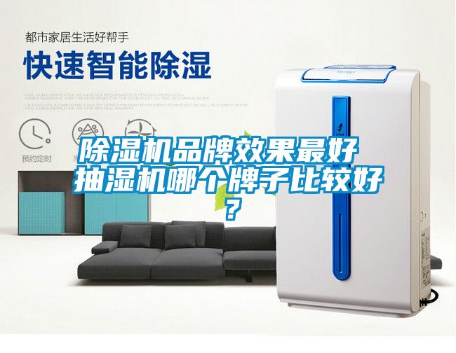 香蕉福利视频机品牌效果最好 抽湿机哪个牌子比较好？