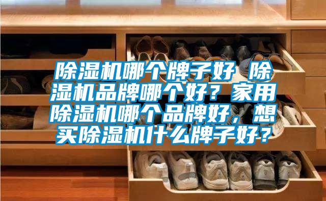 香蕉福利视频机哪个牌子好 香蕉福利视频机品牌哪个好？家用香蕉福利视频机哪个品牌好，想买香蕉福利视频机什么牌子好？